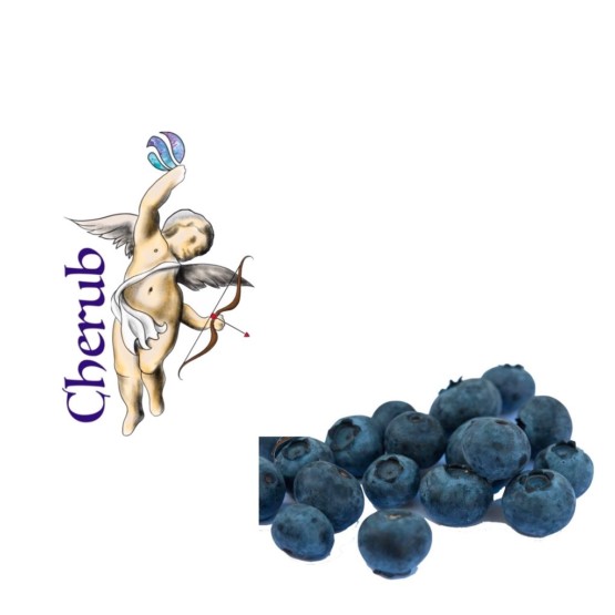 Cherub Blueberry E Liquid Juice