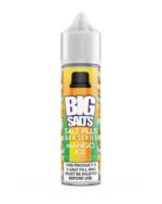 Big Salts Mango Fizzy Ice 60ml Short Fill Salts